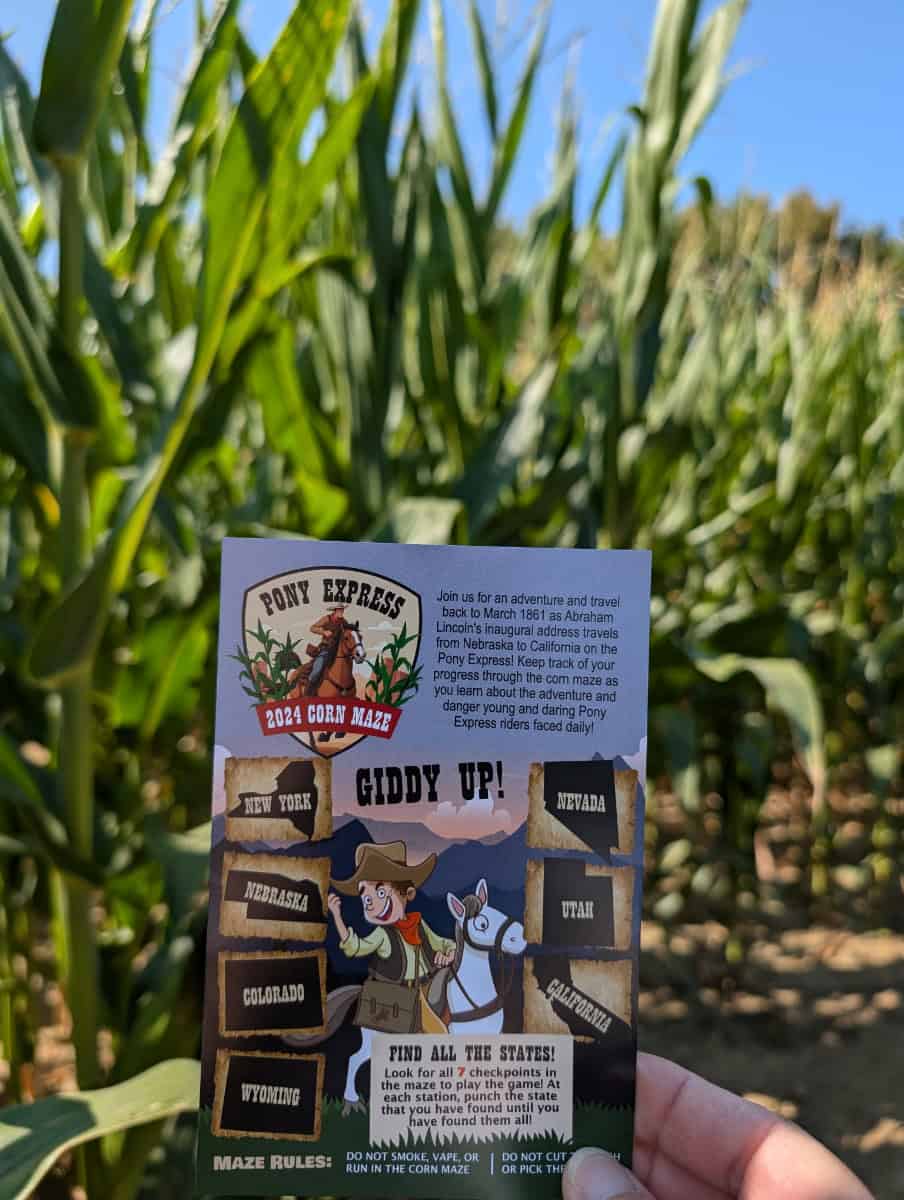 A game card in front of a corn maze