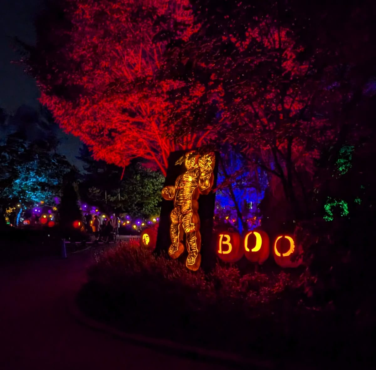 a mummy and boo sign lit up as part of Jack O'Lantern Glow at the Cincinnati Zoo