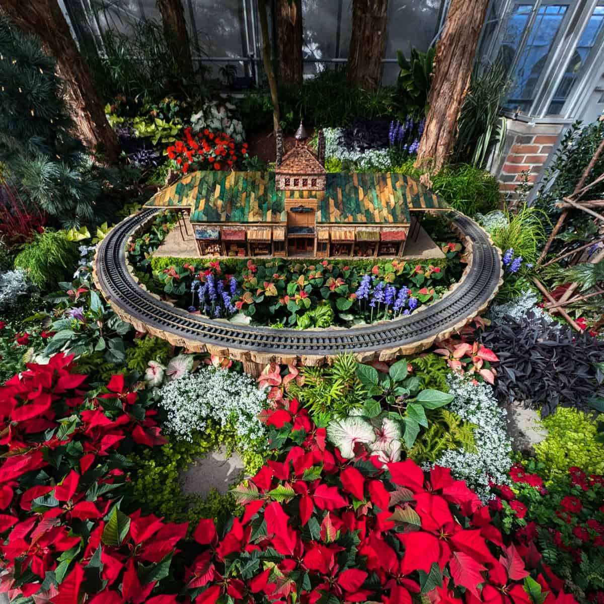 Seasonal flowers and a model replica as part of Krohn Conservatory's Soltice Glow exhibit