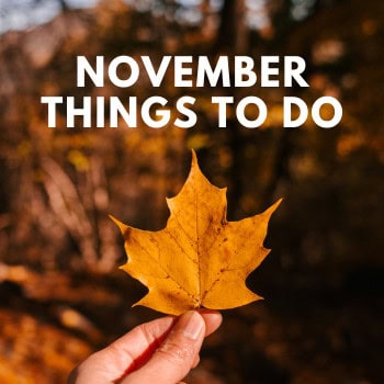 hand holding a leaf as an image for things to do in November in Cincinnati
